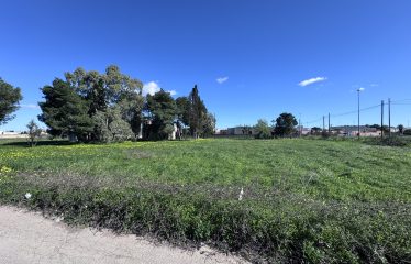 CASOLARE CON AMPIO TERRENO &ndash; Squinzano(Le), Via S. Elia
