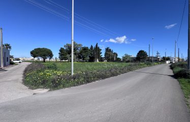 CASOLARE CON AMPIO TERRENO &ndash; Squinzano(Le), Via S. Elia