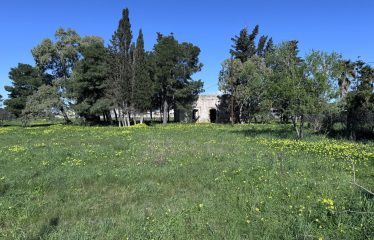 CASOLARE CON AMPIO TERRENO &ndash; Squinzano(Le), Via S. Elia