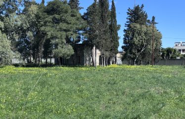 CASOLARE CON AMPIO TERRENO &ndash; Squinzano(Le), Via S. Elia