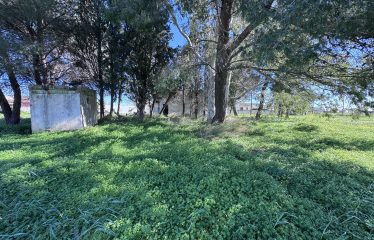 CASOLARE CON AMPIO TERRENO &ndash; Squinzano(Le), Via S. Elia