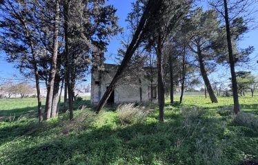 CASOLARE CON AMPIO TERRENO &ndash; Squinzano(Le), Via S. Elia