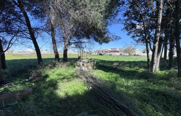 CASOLARE CON AMPIO TERRENO &ndash; Squinzano(Le), Via S. Elia