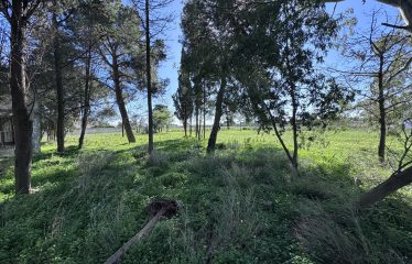 CASOLARE CON AMPIO TERRENO &ndash; Squinzano(Le), Via S. Elia