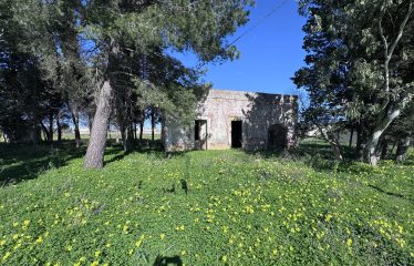 CASOLARE CON AMPIO TERRENO &ndash; Squinzano(Le), Via S. Elia