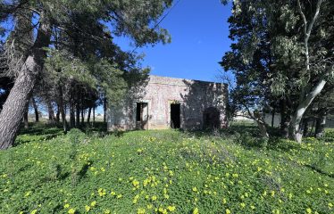 CASOLARE CON AMPIO TERRENO &ndash; Squinzano(Le), Via S. Elia