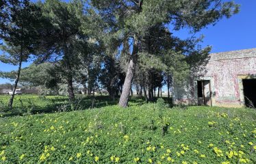CASOLARE CON AMPIO TERRENO &ndash; Squinzano(Le), Via S. Elia