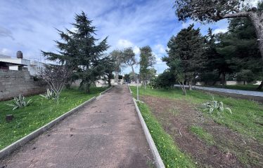 TERRENOI AL MARE &ndash; Casalabate (Le), Strada Provinciale 96