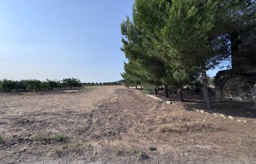 Piccolo Casolare di Campagna – Campi Salentina (Le), contrada Patera