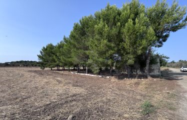 Piccolo Casolare di Campagna – Campi Salentina (Le), contrada Patera