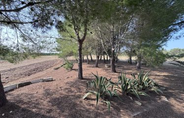 Piccolo Casolare di Campagna – Campi Salentina (Le), contrada Patera