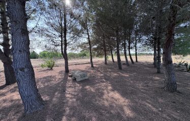 Piccolo Casolare di Campagna – Campi Salentina (Le), contrada Patera