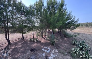 Piccolo Casolare di Campagna – Campi Salentina (Le), contrada Patera