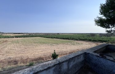 Piccolo Casolare di Campagna – Campi Salentina (Le), contrada Patera